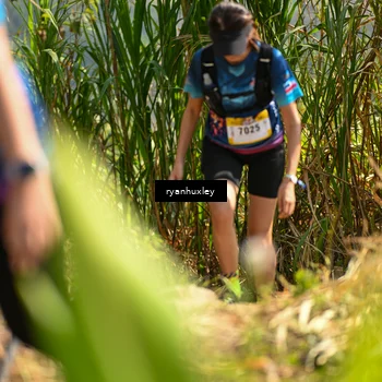 Runner Photo 5278603