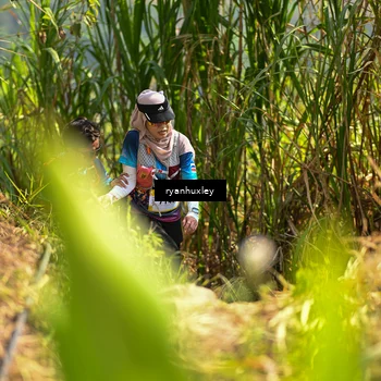 Runner Photo 5278612