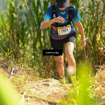 Runner Photo 5278622