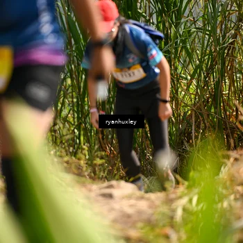 Runner Photo 5278757