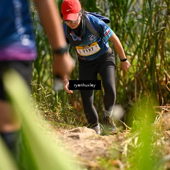 Runner Photo 5278758