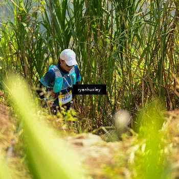 Runner Photo 5278771