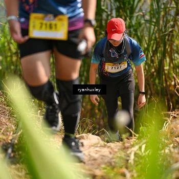 Runner Photo 5278807