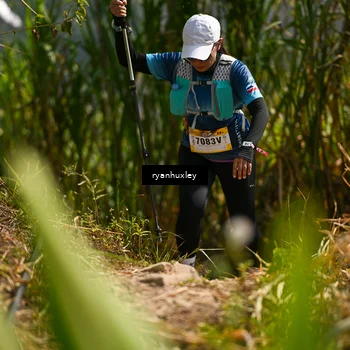 Runner Photo 5278836