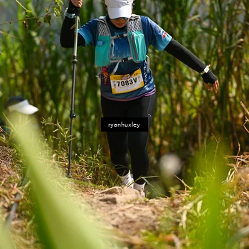 Runner Photo 5278841