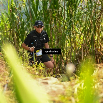 Runner Photo 5278899
