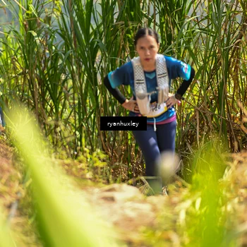 Runner Photo 5278948