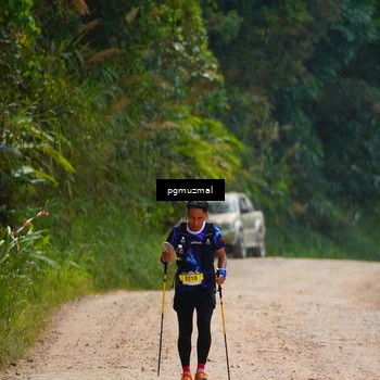 Runner Photo 5278952