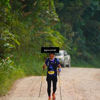 Runner Photo 5278953