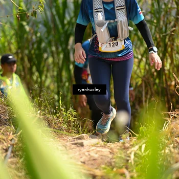 Runner Photo 5278964