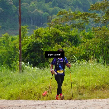 Runner Photo 5278968