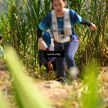 Runner Photo 5278969
