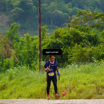 Runner Photo 5278970