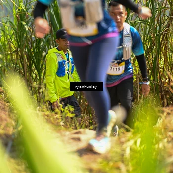 Runner Photo 5278971