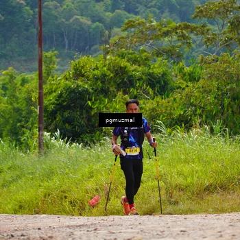 Runner Photo 5278972