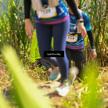 Runner Photo 5278981