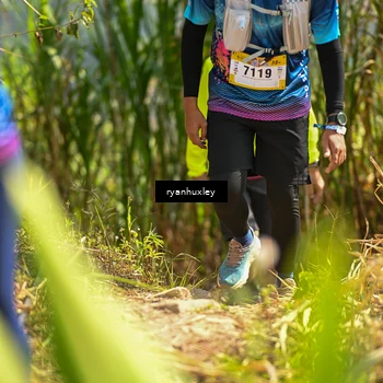 Runner Photo 5278982