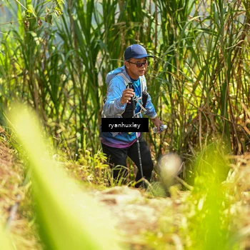Runner Photo 5279061