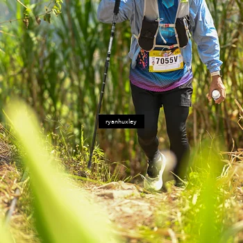 Runner Photo 5279084