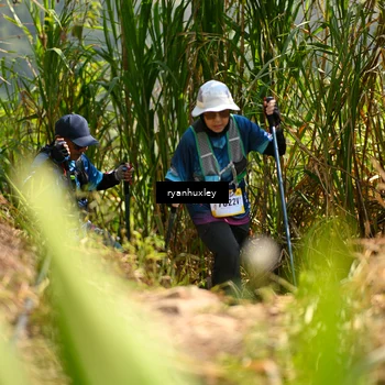 Runner Photo 5279165