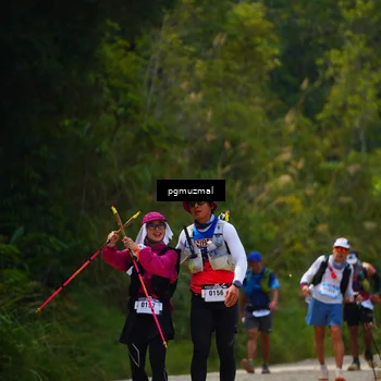 Runner Photo 5279176