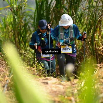 Runner Photo 5279187