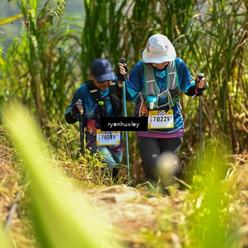Runner Photo 5279188