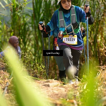 Runner Photo 5279206