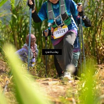 Runner Photo 5279227