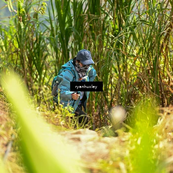 Runner Photo 5279252