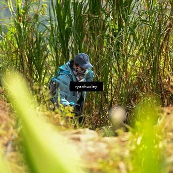 Runner Photo 5279253