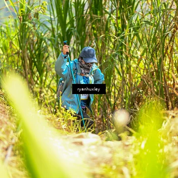 Runner Photo 5279258