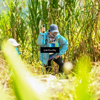 Runner Photo 5279262