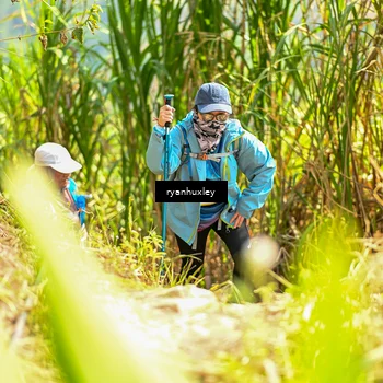 Runner Photo 5279266