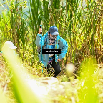 Runner Photo 5279269