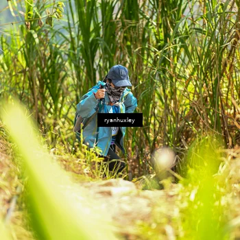 Runner Photo 5279270