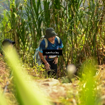 Runner Photo 5279302