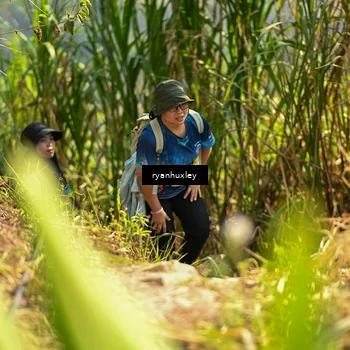Runner Photo 5279314