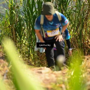 Runner Photo 5279328