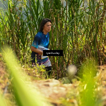 Runner Photo 5279334