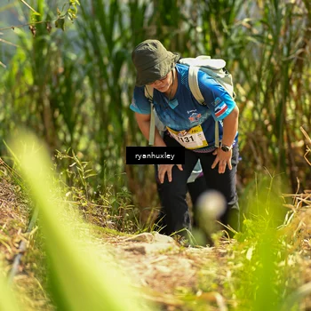 Runner Photo 5279335
