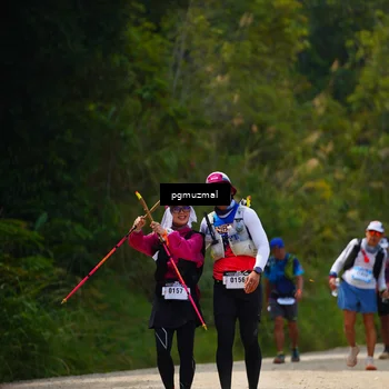 Runner Photo 5279408
