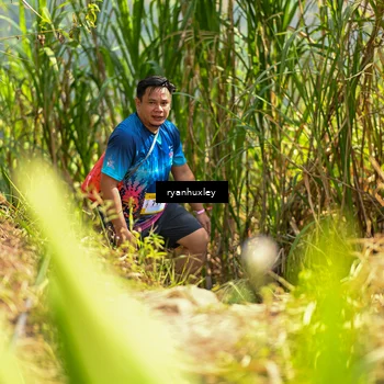 Runner Photo 5279412