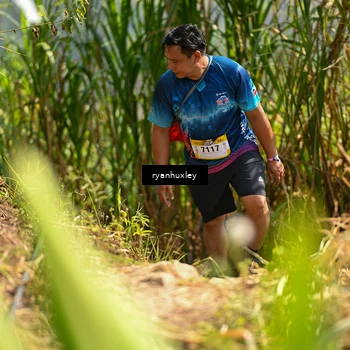 Runner Photo 5279427
