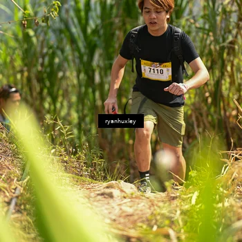 Runner Photo 5279472