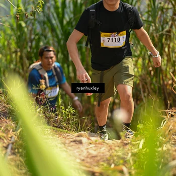 Runner Photo 5279475