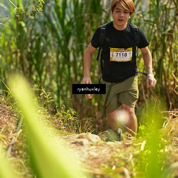 Runner Photo 5279477