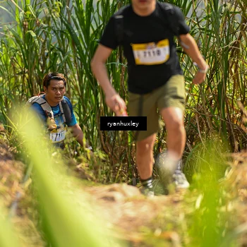 Runner Photo 5279485