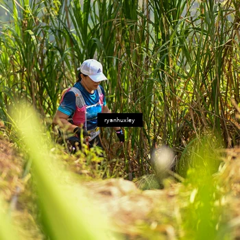 Runner Photo 5279521