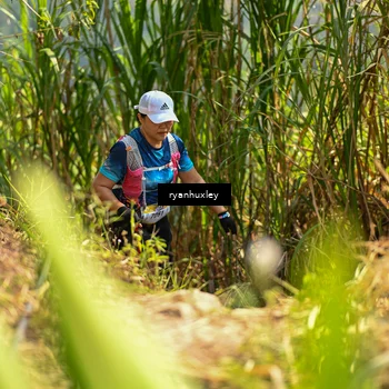 Runner Photo 5279525